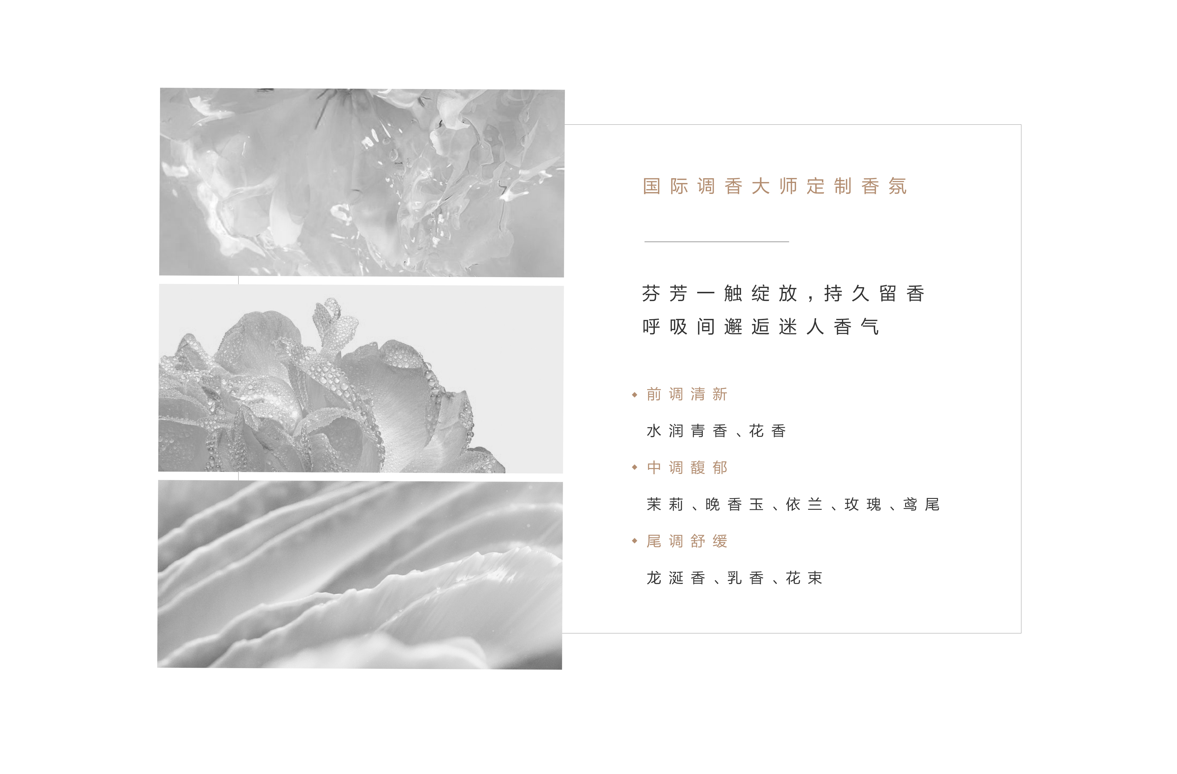 奢养精华中文PC_04.jpg